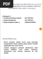 Download Aktivitas Enzim Protease Dari Mucor Javanicus YANG DITUMBUHKAN by Yuga Pratama SN132464403 doc pdf