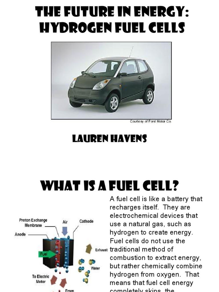 Hydrogen Fuel Cells Explained | PDF | Technology & Engineering