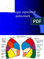 Abcese Pulmonare