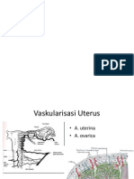 Early Pregnancy Bleeding