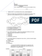 EXAMEN FINAL 8º BASICO