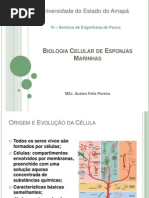 Biologia Celular de Esponjas Marinhas.pptx