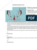 Campul Protetic Mandibular Edentat Total