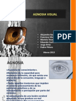 Agnosia Visual