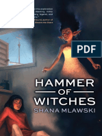 Hammer of Witches