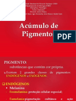 Acúmulo de Pigmentos