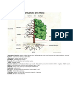 Structura Unui Arbore