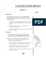 Cascade Style Bonsai: Notes I. Objectives