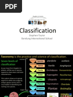 55-classification-1223101530060264-9