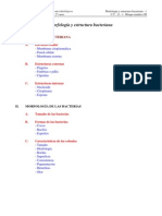 Morfologia y Estructura Bacteriana (1)