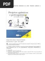 Solucao Exercicios Proj Quimicos Petroquimicos
