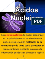 Acidos Nucleicos