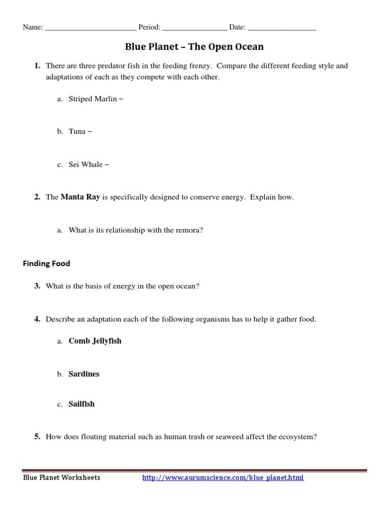 Blue Planet Open Ocean Worksheet Predation Oceanography