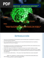 Download Compuestos luminiscentes by Pablo Coronado SN132567746 doc pdf