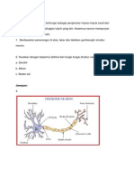 Fungsi Struktur Neuron