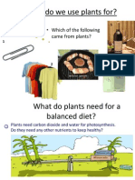 What Do We Use Plants For?: - Which of The Following Came From Plants?