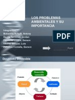 Problemas Ambientales y Su Importancia