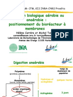 Epuration Biologique Aerobie Ou Anaerobie