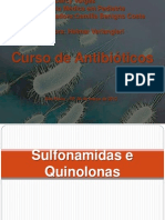 Apresentação de Antibióticos 2 (Sulfas e Quinolonas)