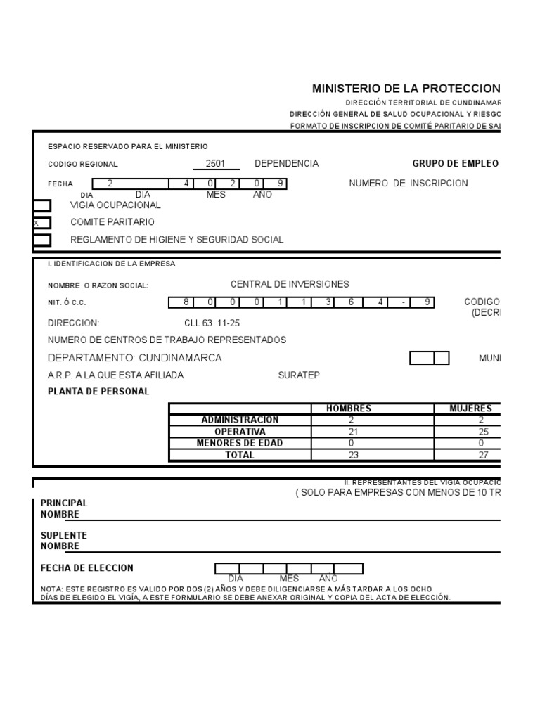 Formato Copaso | PDF