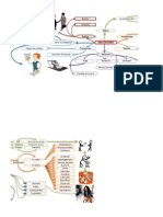 Mapa Mental de Obligaciones