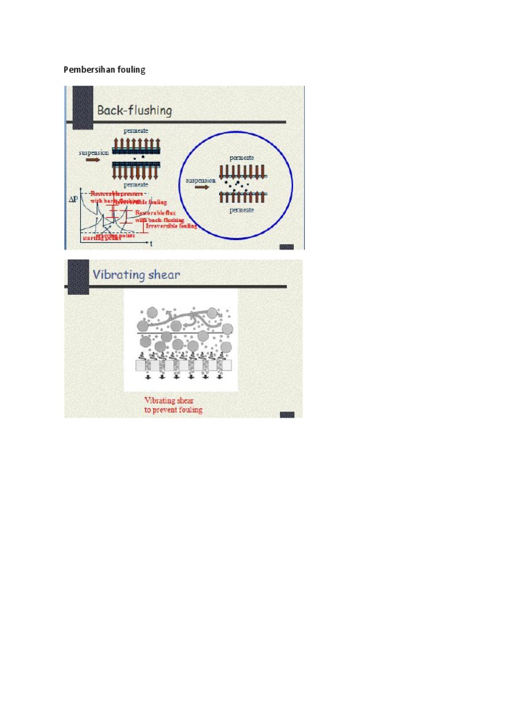 Pembersihan Fouling | PDF