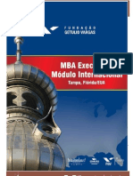 Programa MBA Executivo Internacional 2013 PDF