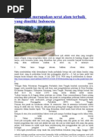 Download Serat Ijuk Merupakan Serat Alam Terbaik Yang Dimiliki Indonesia by Muhammad Ihsan SN132627196 doc pdf