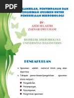 Download  Pemeriksaan Spesimen  by Andi Selastri SN132634020 doc pdf