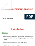 01- granulopoïèse neutrophile et lignées apparentées (1)