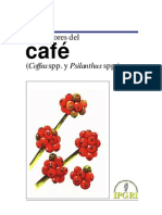 Descriptor de cafe.pdf