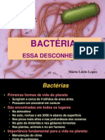 Item 02 - Bacteria - Essa Desconhecida