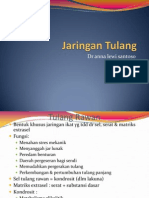 Jaringan Tulang