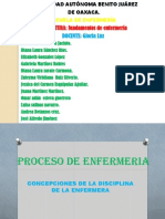 Proceso Enfermería UABJO