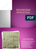 Discapacidad Intelectual