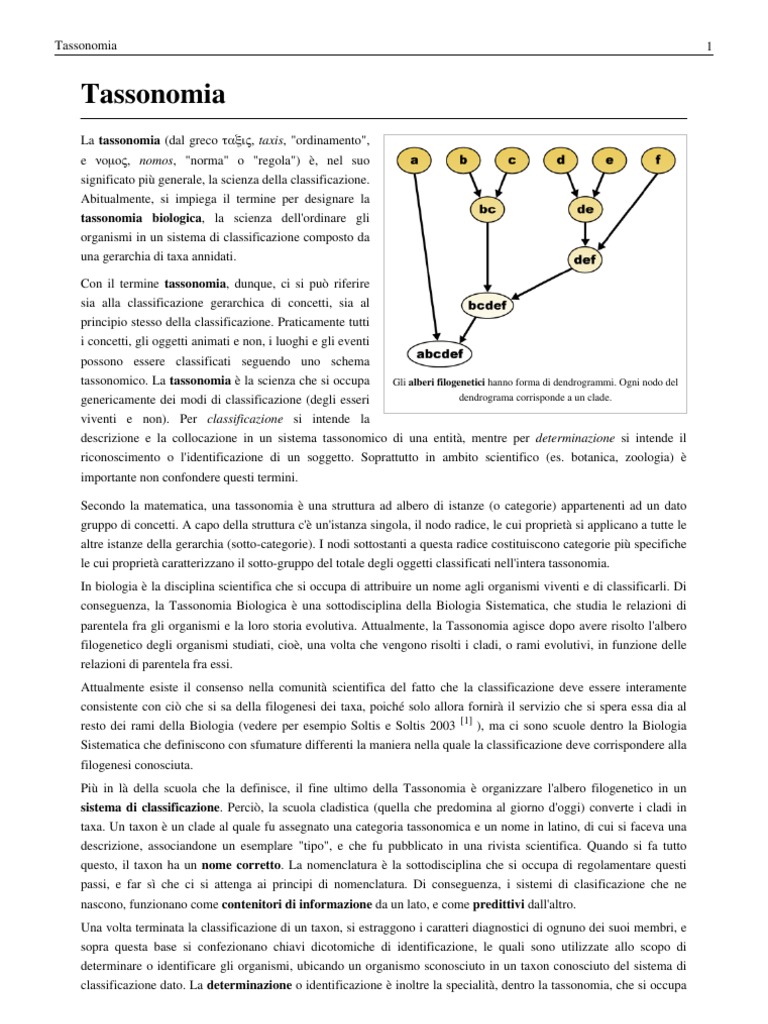 Tassonomia