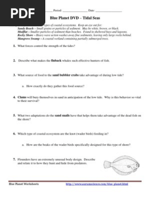 Blue Planet Tidal Seas Worksheet Sea Beach