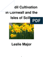 Daffodil Cultivation in Cornwall and Isles of Scilly - Leslie Major
