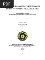 Download 44-Toksisitas Logam Berat Mempengaruhi Fotosintesis by Martiadi Kurniawan SN132750600 doc pdf