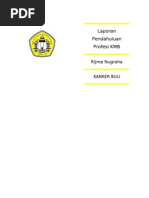 Download LP CA BULI by Rijma Nugraha SN132752161 doc pdf