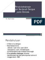 dhf1.pdf