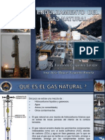 08 Endulzamiento y Deshidratación Del Gas Natural - Fernando Céspedes & Miguel Sagredo
