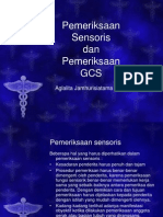 Pemeriksaan Sensoris