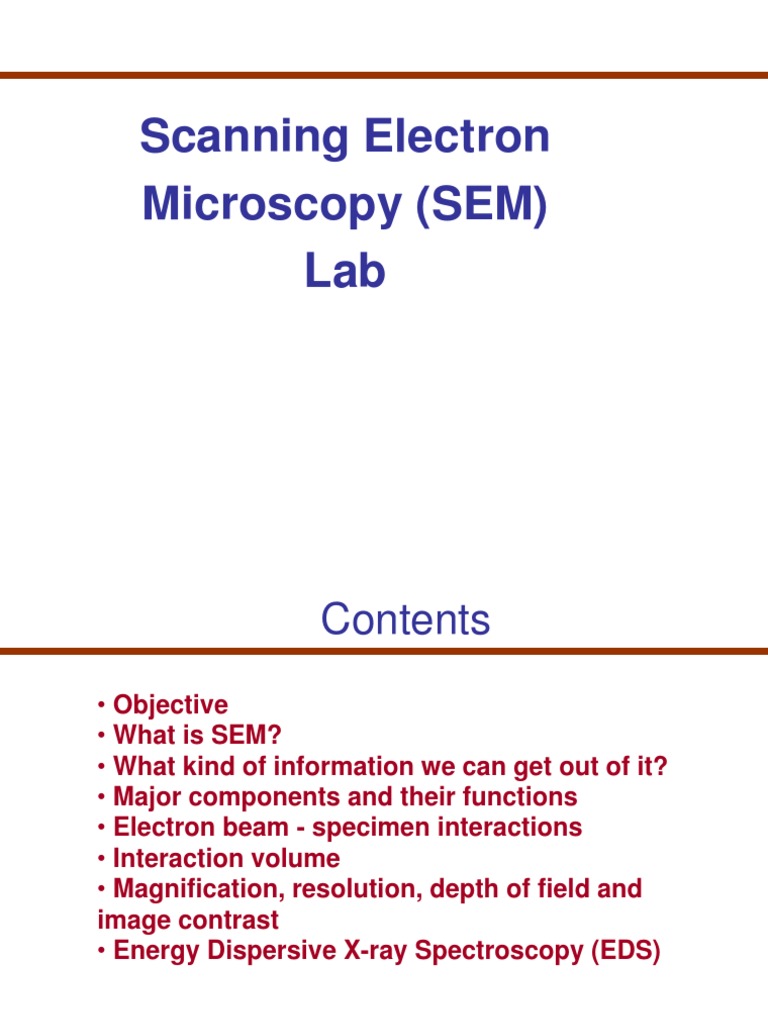 SEM | PDF | Scanning Electron Microscope | Electron Microscope