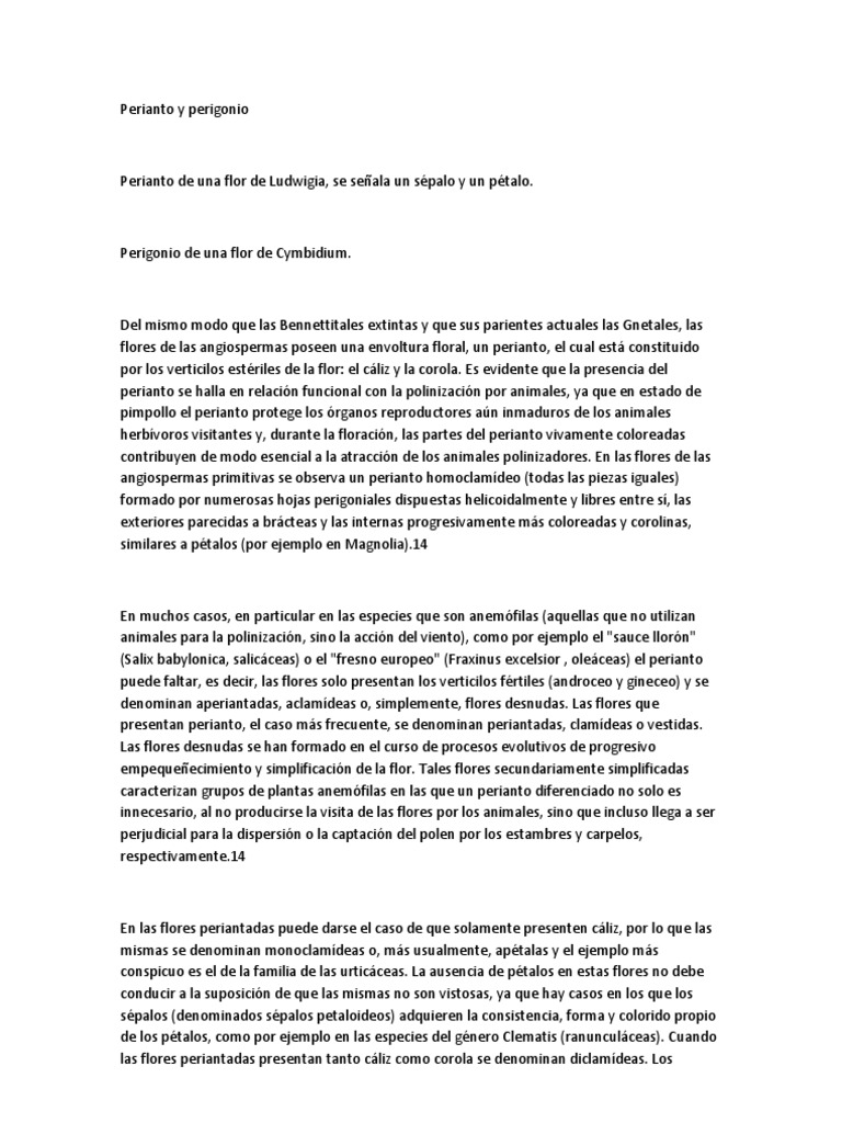 Perianto y perigonio en flores angiospermas | PDF | Flores | Plantas