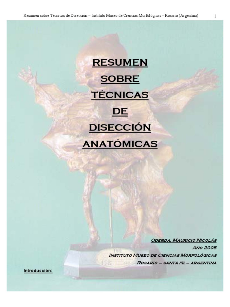 Manual de Diseccion PDF PDF Articulación Vena
