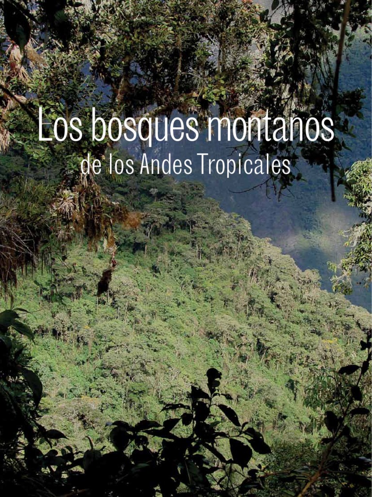 Bosques Montano
