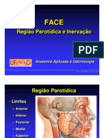 Anatomia Do Nervo Facial