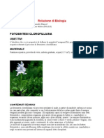 Relazione Di Biologia- Fotosintesi Cloroflilliana