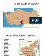 Describing A City in Turkey Adana